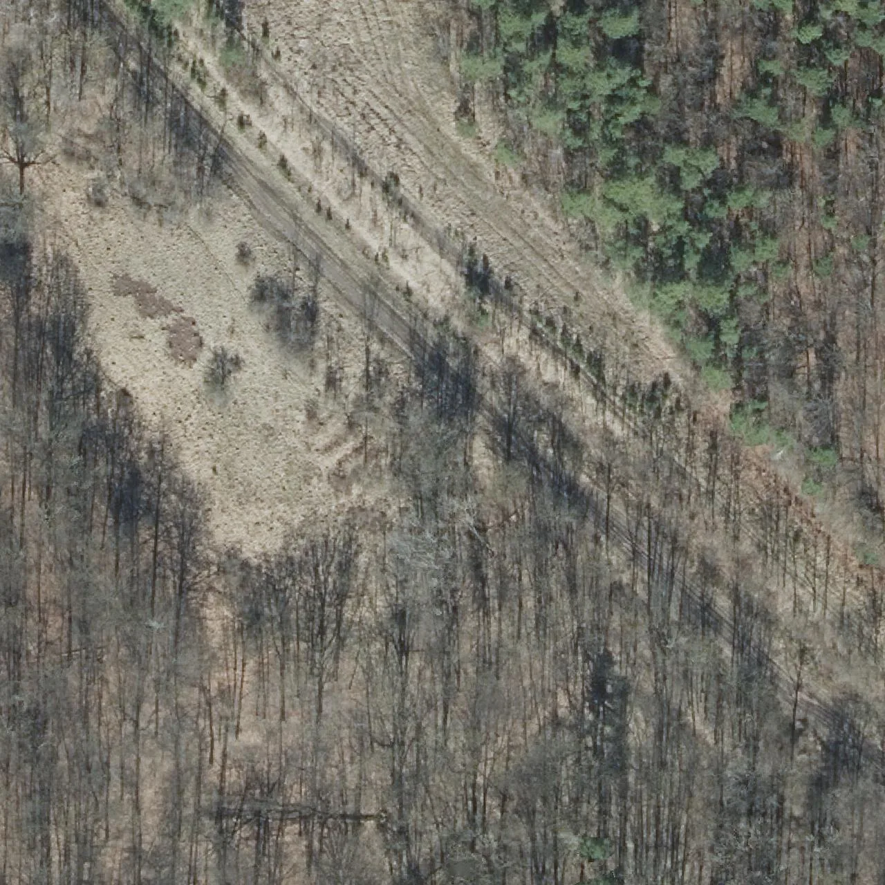 Aerial photo (orthophoto) of truck parking P Kälberfeld Süd RÜCKBAU from 2025