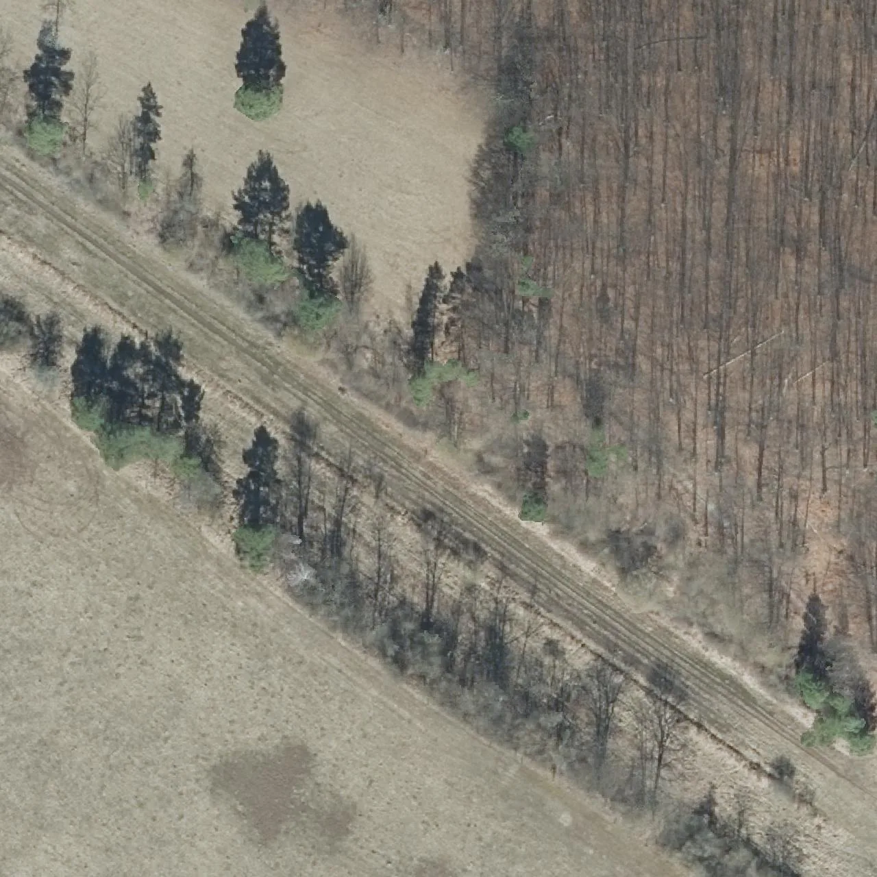 Aerial photo (orthophoto) of truck parking P Jesusbrünnchen Nord RÜCKBAU from 2025