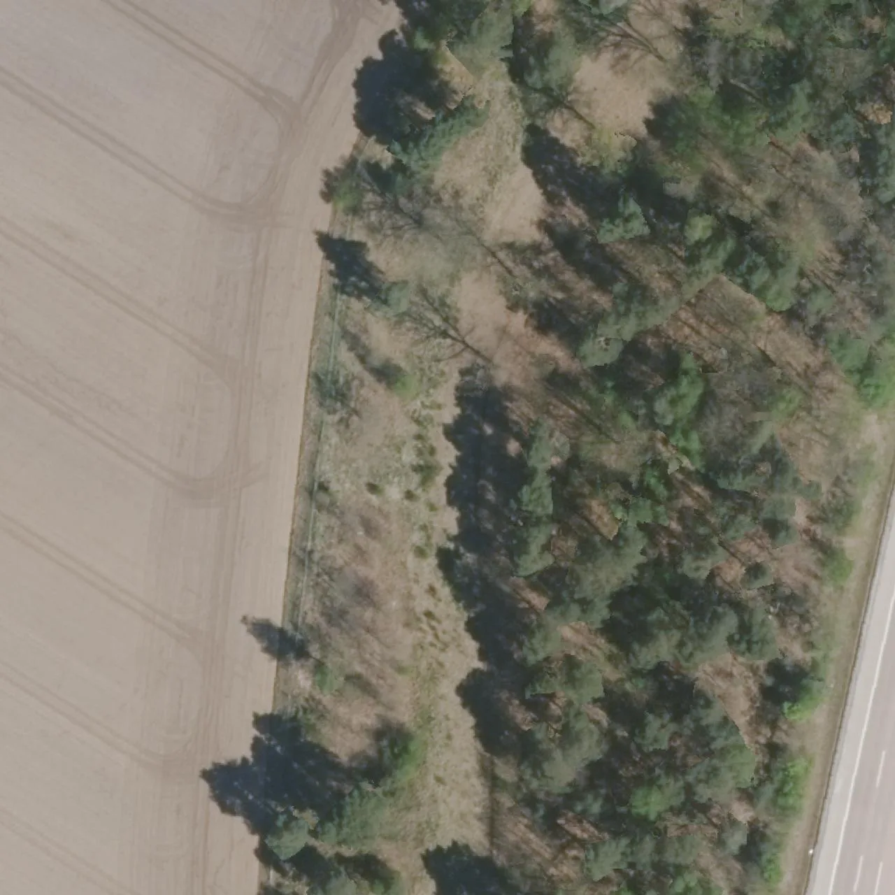 Aerial photo (orthophoto) of truck parking Timmerloh West from 2024